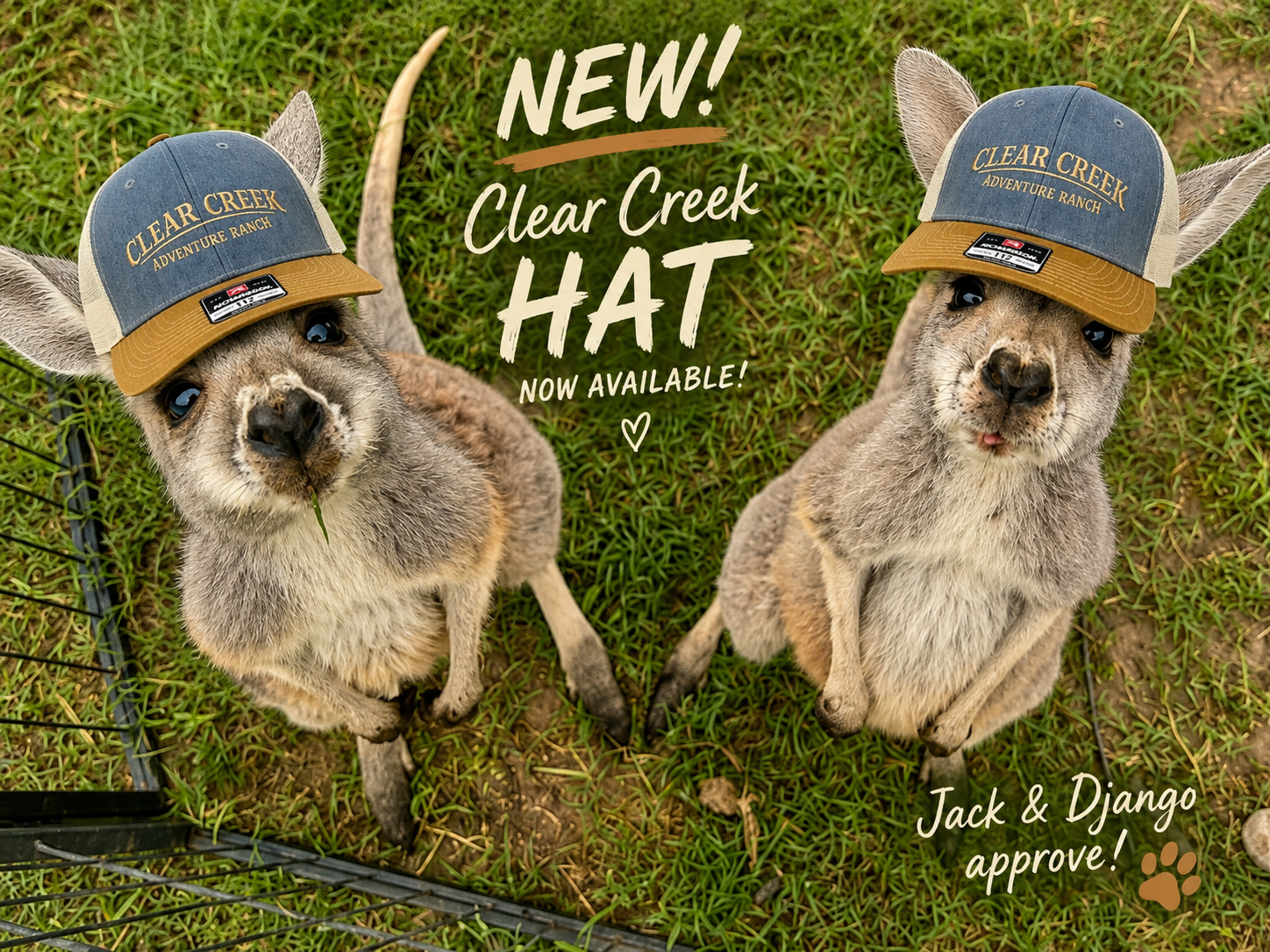 Limited Edition Trucker Hat
