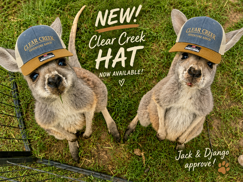 Limited Edition Trucker Hat