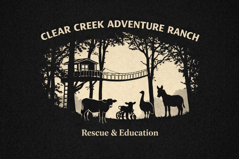 Clear Creek T-Shirt Adult